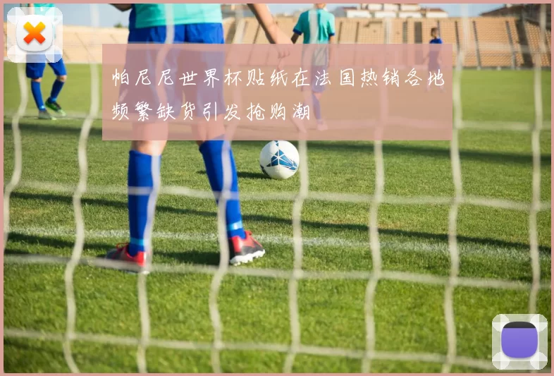 帕尼尼世界杯贴纸在法国热销各地频繁缺货引发抢购潮